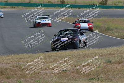 media/May-04-2024-Lucky Dog Racing (Sat) [[d39539b3f3]]/Race Pics/1015am (Turn 2)/